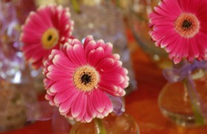 Bright cheery floral centerpiece