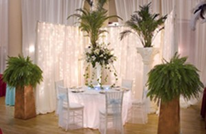 Dinner setup with tropical accents