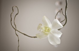 Floral centerpiece closeup (2)