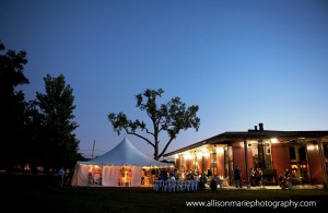 Jasper Winery Wedding Reception